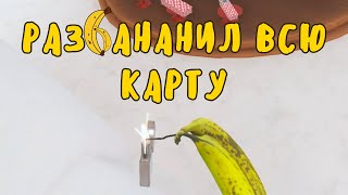 Взорвал всю карту в игре Hot Dogs Horseshoes amp Hand Grenades [upl. by Nidak]