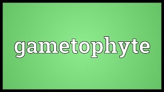 Gametophyte Meaning [upl. by Kimmi672]