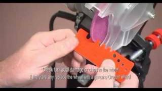 How to Sharpen Chain Saw Chains Oregon Chainsaw Sharpening Guide [upl. by Amal477]