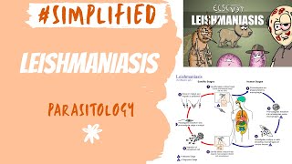 Leishmaniasis Kala azar  Parasitology with mnemonics  Microbiology  NEXT INICET [upl. by Jen]