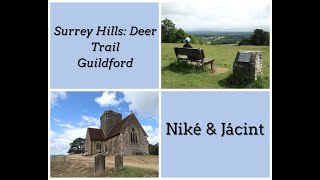 Surrey Hills Deer Trail [upl. by Okimuk990]