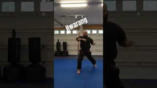 Hwarang sportmartialarts martialarts karate taekwondo hwarang [upl. by Hpotsirhc]