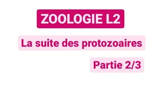 Zoologie L2  Chapitre quotles Sarcomastigophoraquot partie 12 [upl. by Tyrone]