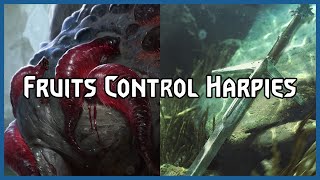 Fruits Control Harpies  Gwent Pro Rank Gameplay [upl. by Okimat806]