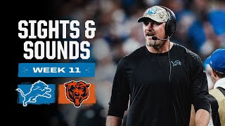 Dan Campbell Micd Up  Extended Sights and Sounds Lions vs Bears  2023 Week 11 [upl. by Lonny]