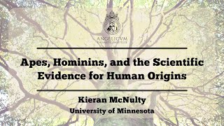 Apes Hominins and the Scientific Evidence for Human Origins  Kieran McNulty [upl. by Ardnwahs24]