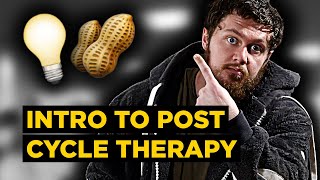 The BASICS of Post Cycle Therapy and OnCycle Support for BEGINNERS How to KEEP the Lights ON 💡🥜 [upl. by Mendie]