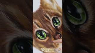 Abyssinian cat using colour pencils and pastel on paper petportraitartist [upl. by Woo983]