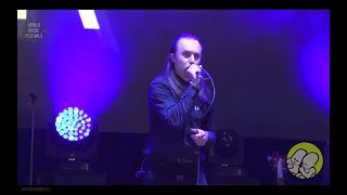 Molchat Doma  Pohoda Festival 2022  Full Show HD [upl. by Covell]