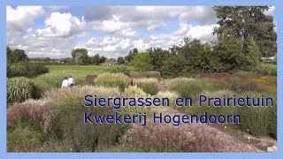 Siergrassen en Prairietuin Hogendoorn 0416  69 21 21 [upl. by Blinni]