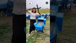 Best Chaff Cutter Machine [upl. by Meda]