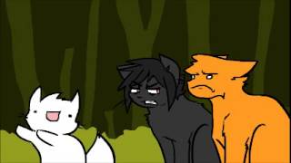 Cloudpaw Joins Thunderclan [upl. by Adnohser833]