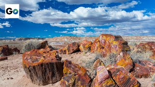 Petrified Forest National Park [upl. by Lidaa]