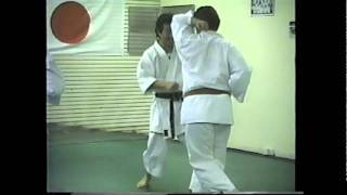 Jyoshinmon Elizabeth Dojo KarateDo Memories [upl. by Verity]