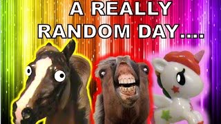 Breyer Horse Movie A REALLY Random Day 1000 Subbers Special [upl. by Shara922]