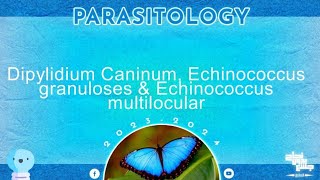 L3dipylidium caninum echinococcus granulosus echinococcus multilocularis parasitology [upl. by Haughay]