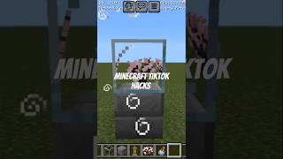 Minecraft tiktok hacks minecraft gaming minecraftbuilding [upl. by Zia]