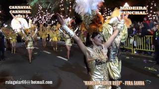 Carnaval na Madeira 2011 Parte III Funchal Carnival Karnevalsumzug  Fura Samba [upl. by Orferd]