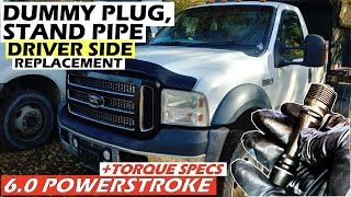 60 POWERSTROKE 200452007 InDepth DRIVER Side Dummy Plug Stand Pipe Replacement [upl. by Drue691]