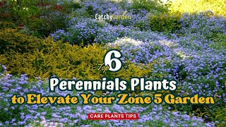 Top 6 Perennials to Elevate Your Zone 5 Garden  Care Plants Tips 🌹🌸🌻 [upl. by Coonan]