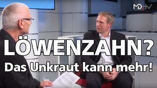 MDINTERVIEW  Grüne Reifen aus Löwenzahn [upl. by Assiren]