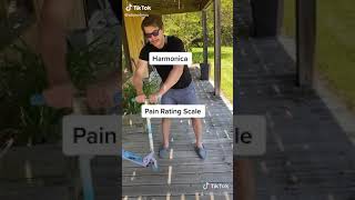 Harmonica pain rating scale hit in shin with scooter [upl. by Alegna]