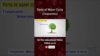 Water Cycle  Parts of Water Cycle  Evaporation  Transpiration  Water Vapour [upl. by Attener]