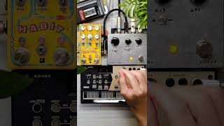 Volca Drum  Chase Bliss Habit  Fairfield Circuitry Hors Doeuvre｜Ambient Soundscapes shorts [upl. by Pussej257]