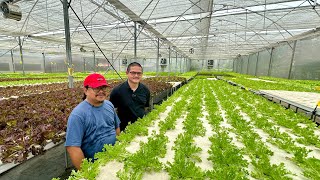 The BIGGEST HYDROPONIC FARM in METRO MANILA May Competition ba sa UPLAND FARMS ng CORDILLERA [upl. by Lafleur755]