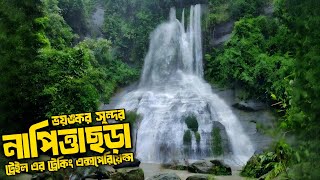 সীতাকুণ্ডের নাপিত্তাছড়া ঝর্ণায় যাওয়ার আগে যা যা জানা প্রয়োজন  Napittachora Waterfall 🇧🇩 [upl. by Otrebile]