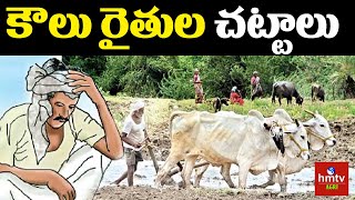 కౌలు రైతుల చట్టాలు  Tenant Farmers Acts  Nelathalli  hmtv Agri [upl. by Adnauq]