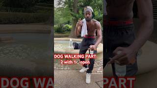 dog dogwalkingwith1👁️open dogwalkinglife ukmusic newpost [upl. by Aicilana72]