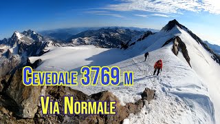 Cevedale 3769 m  Via Normale da Rif Pizzini [upl. by Miner]