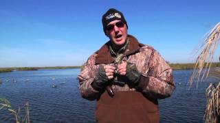 How To Do a Mallard Drake Whistle [upl. by Alis]