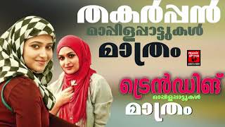 Mappila Cover Songs  Mappila Pattukal Cover songs Mappilapattukal Mappila Pattukal Malayalam [upl. by Theresita]