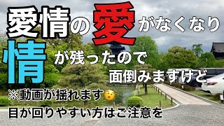 【アラ還夫婦】何でも人任せ夫は入院、妻は京都観光3泊4日 [upl. by Ardnaiek]