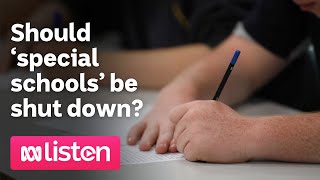 Should ‘special schools’ be shut down  ABC News Daily Podcast [upl. by Wellington]