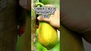 Los increíbles beneficios de la papaya que no conocías bienestar alimentossanos [upl. by Shipman]