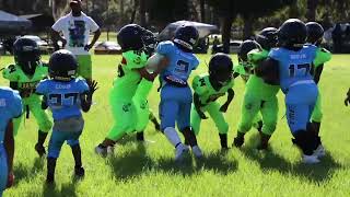 Deland Dawgs 6u vs PartyBoyz 6u TME [upl. by Cissiee]