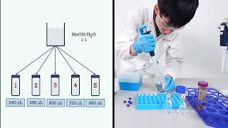 How to Set up HPLC Calibration Method  Internal Standard Calibration with Shimadzu LabSolutions [upl. by Shewchuk639]