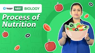 Process of Nutrition  NEET 2021 Biology  Toppr NEET [upl. by Revart]