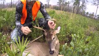 GREEN SWAMP WMA MONSTER BUCK [upl. by Hanus]