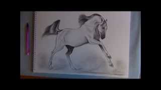 How to Draw a Galloping Bay Horse 16th January 2012 [upl. by Sacul]