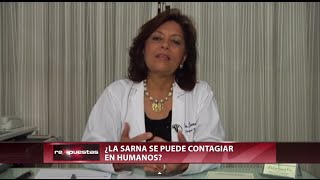 ¿La sarna se puede contagiar en humanos [upl. by Samaria]