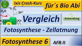 Fotosynthese 6a – Vergleich Primärreaktionen Fotosynthese und Tricarbonsäurezyklus Zellatmung [upl. by Iaht987]