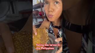 Filipina eating bee larvae in the Philippines Americandreaminthephilippines [upl. by Lerrad734]