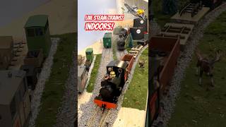 Casselman ON RC Accucraft Live Steam Sabrina on Indoor Layout livesteam gscale trains shorts [upl. by Torrie]