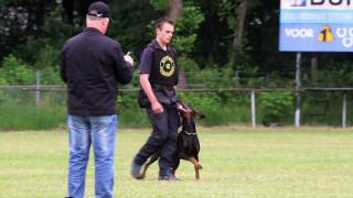 NBG Verenigingbokaal 2016 B de Rijk Ebony van het Wantij Obedience [upl. by Olympium488]