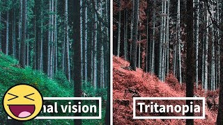 Here’s How Colorblind People With Tritanopia See The World [upl. by Mis699]