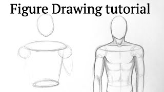 How to draw human figure drawing Male Torso easy for Beginners Pencil drawing tutorial easy Basics [upl. by Goeger317]